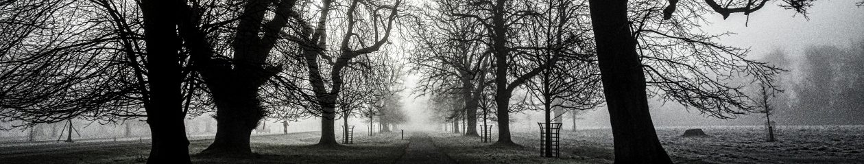 Brian McManus Photos